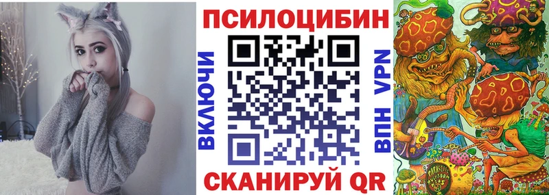 Псилоцибиновые грибы Psilocybe  Гагарин 